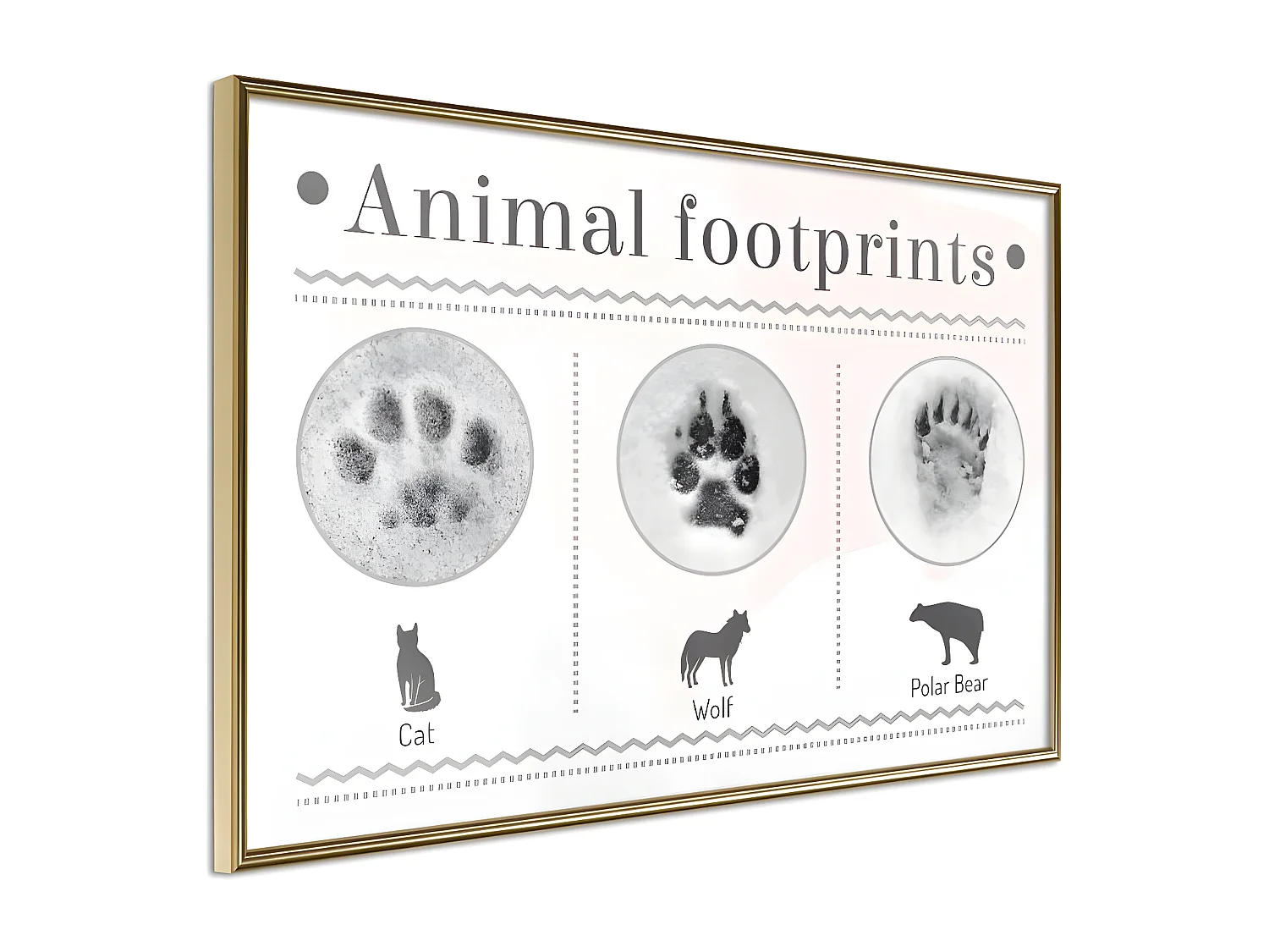 Affiche Murale Encadrée "How to Recognize an Animal" 60 x 40 cm Or