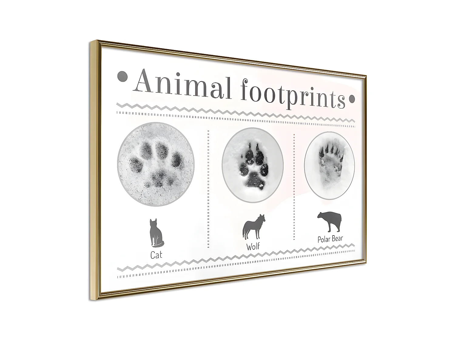 Affiche Murale Encadrée "How to Recognize an Animal" 60 x 40 cm Or