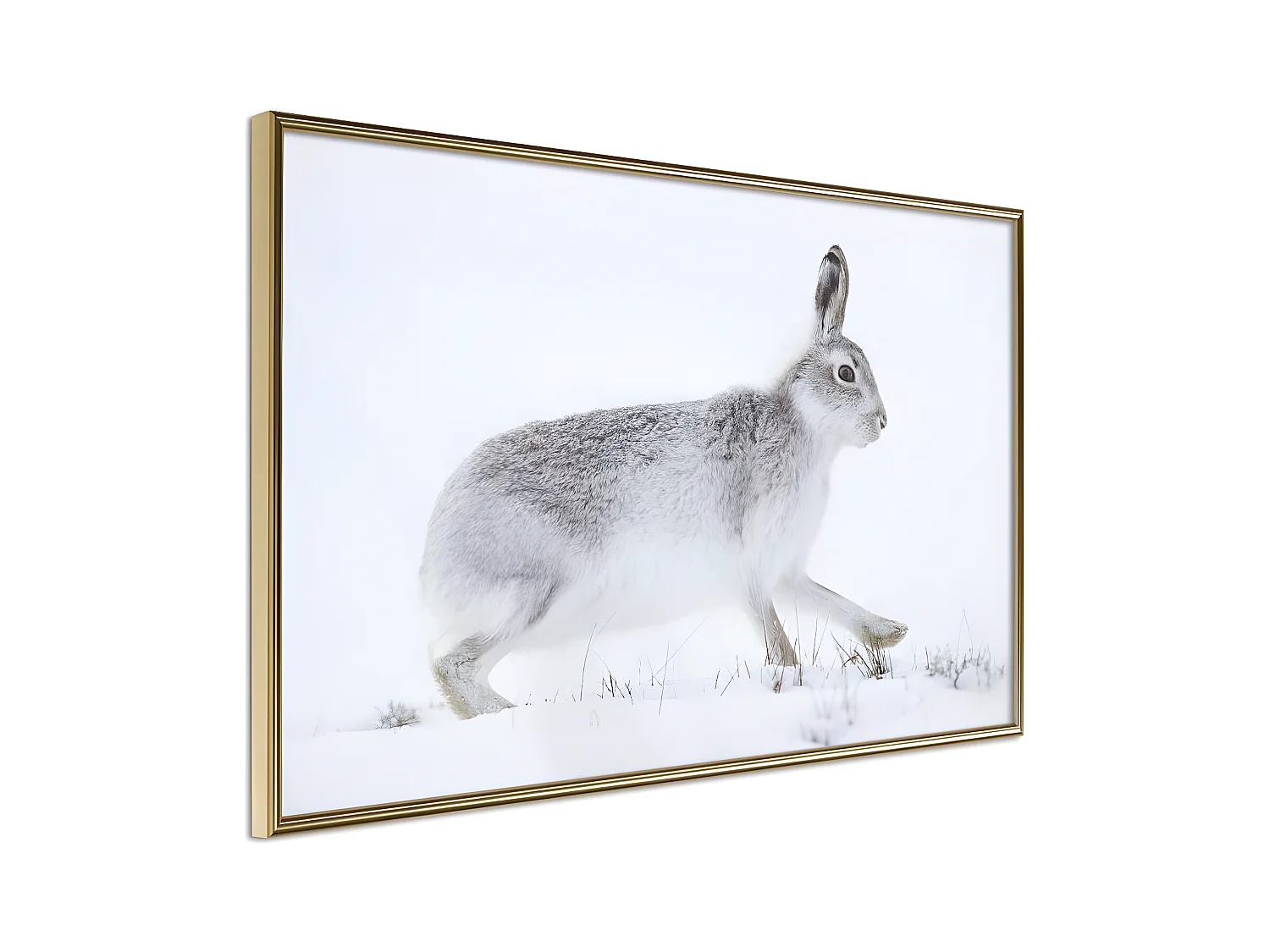 Affiche Murale Encadrée "Escape in the Snow" 90 x 60 cm Or