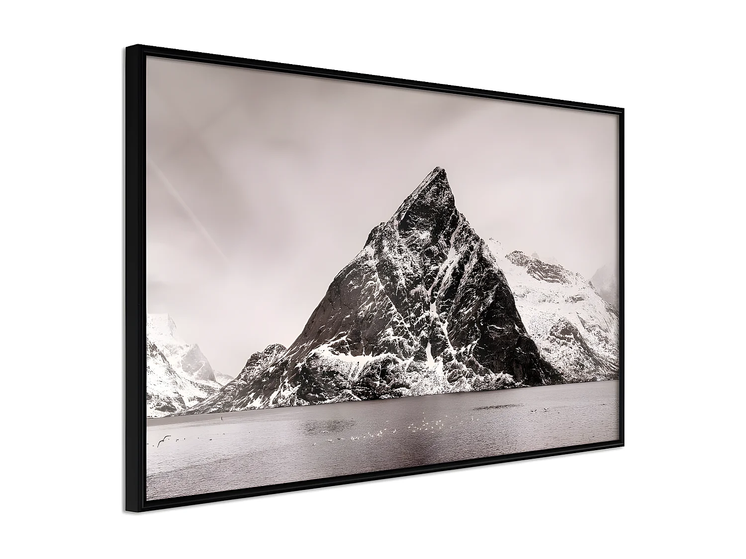 Affiche Murale Encadrée "Stark Landscape" 60 x 40 cm Noir