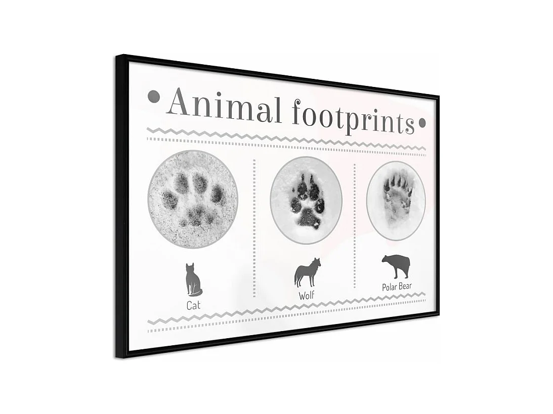 Affiche Murale Encadrée "How to Recognize an Animal" 45 x 30 cm Noir