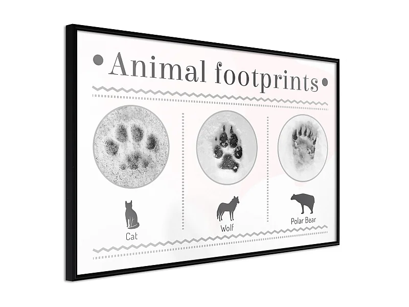 Affiche Murale Encadrée "How to Recognize an Animal" 45 x 30 cm Noir