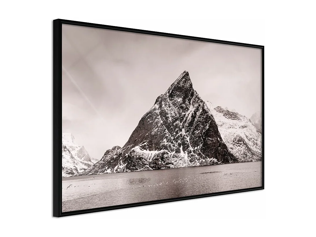 Affiche Murale Encadrée "Stark Landscape" 45 x 30 cm Noir