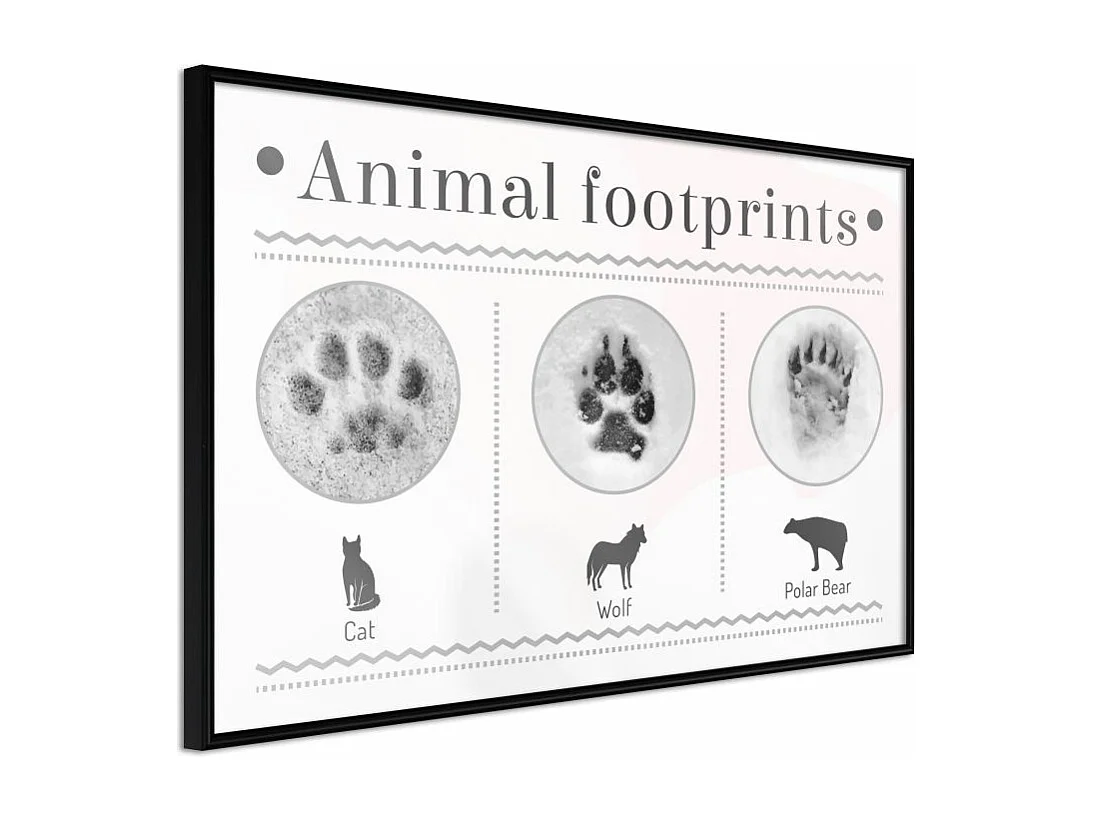 Affiche Murale Encadrée "How to Recognize an Animal" 60 x 40 cm Noir