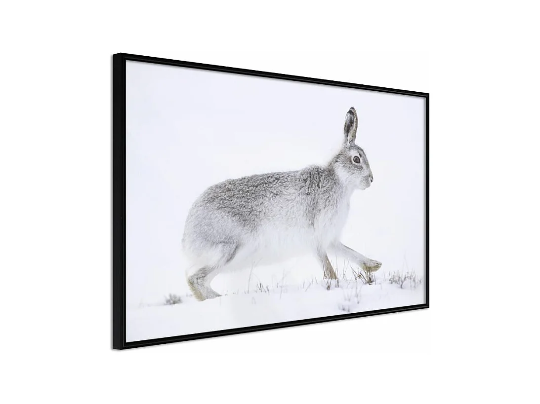 Affiche Murale Encadrée "Escape in the Snow" 60 x 40 cm Noir