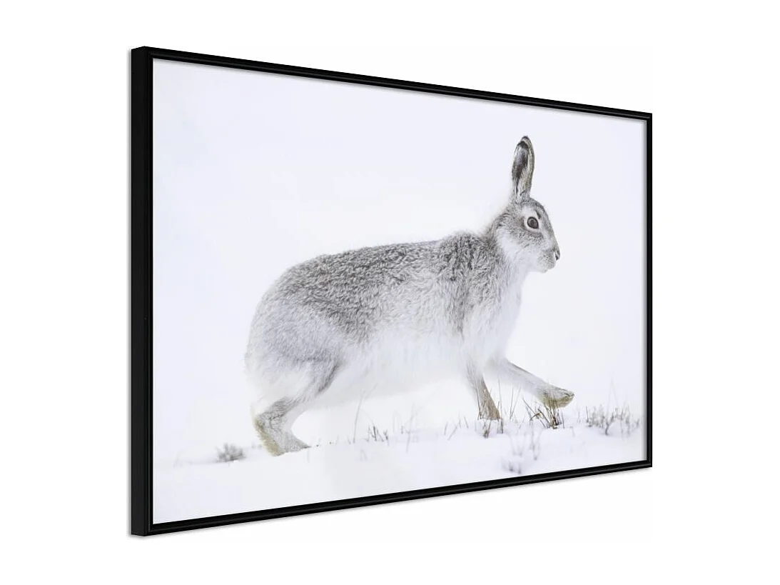 Affiche Murale Encadrée "Escape in the Snow" 60 x 40 cm Noir