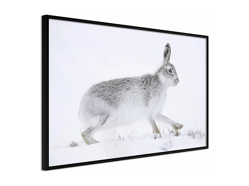 Affiche Murale Encadrée "Escape in the Snow" 60 x 40 cm Noir