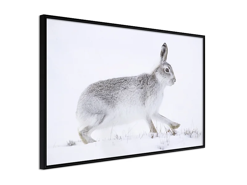 Affiche Murale Encadrée "Escape in the Snow" 60 x 40 cm Noir