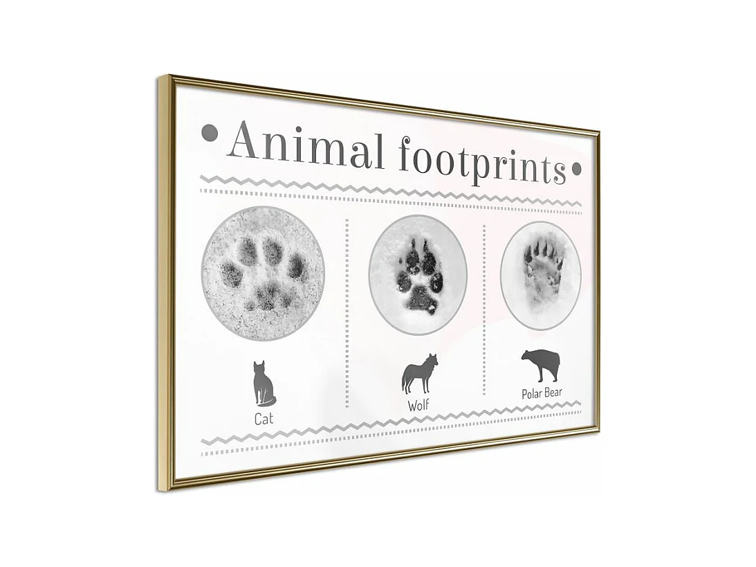 Affiche Murale Encadrée "How to Recognize an Animal" 90 x 60 cm Or
