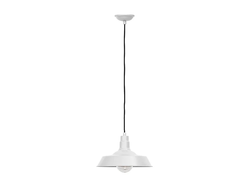 Lampada a Soffitto - Lampada a Sospensione in Stile Industriale - Flynn