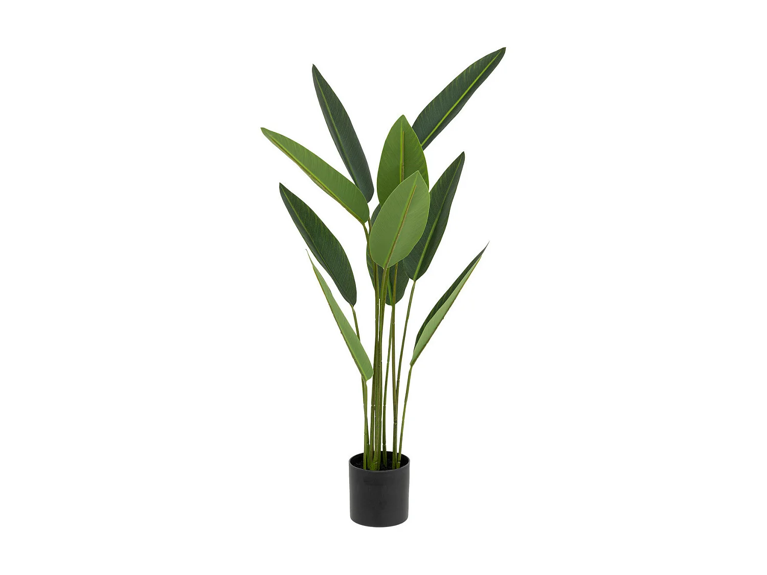 Plante artificielle Strelitzia en pot H 97 cm