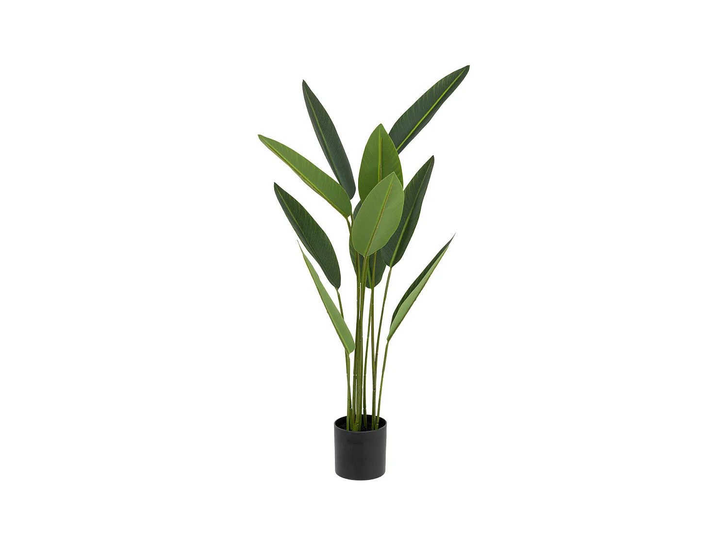 Plante artificielle Strelitzia en pot H 97 cm