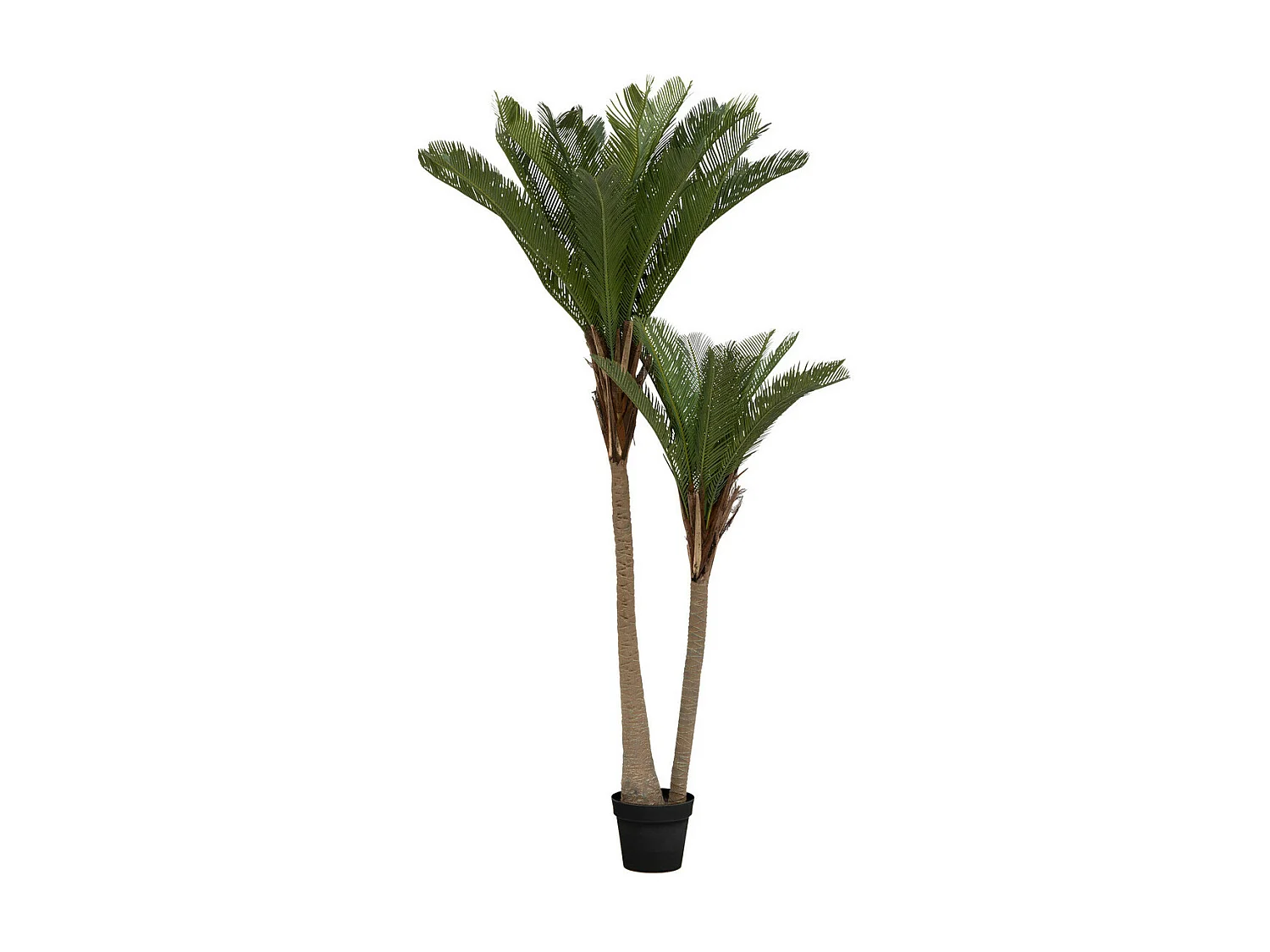 Plante artificielle Palmier 2 troncs H 180 cm