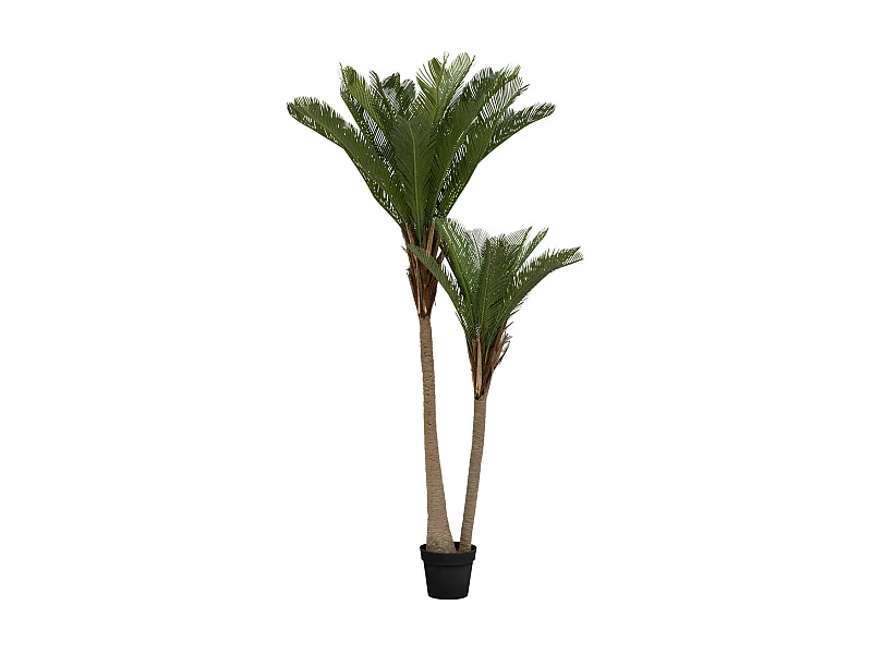 Plante artificielle Palmier 2 troncs H 180 cm