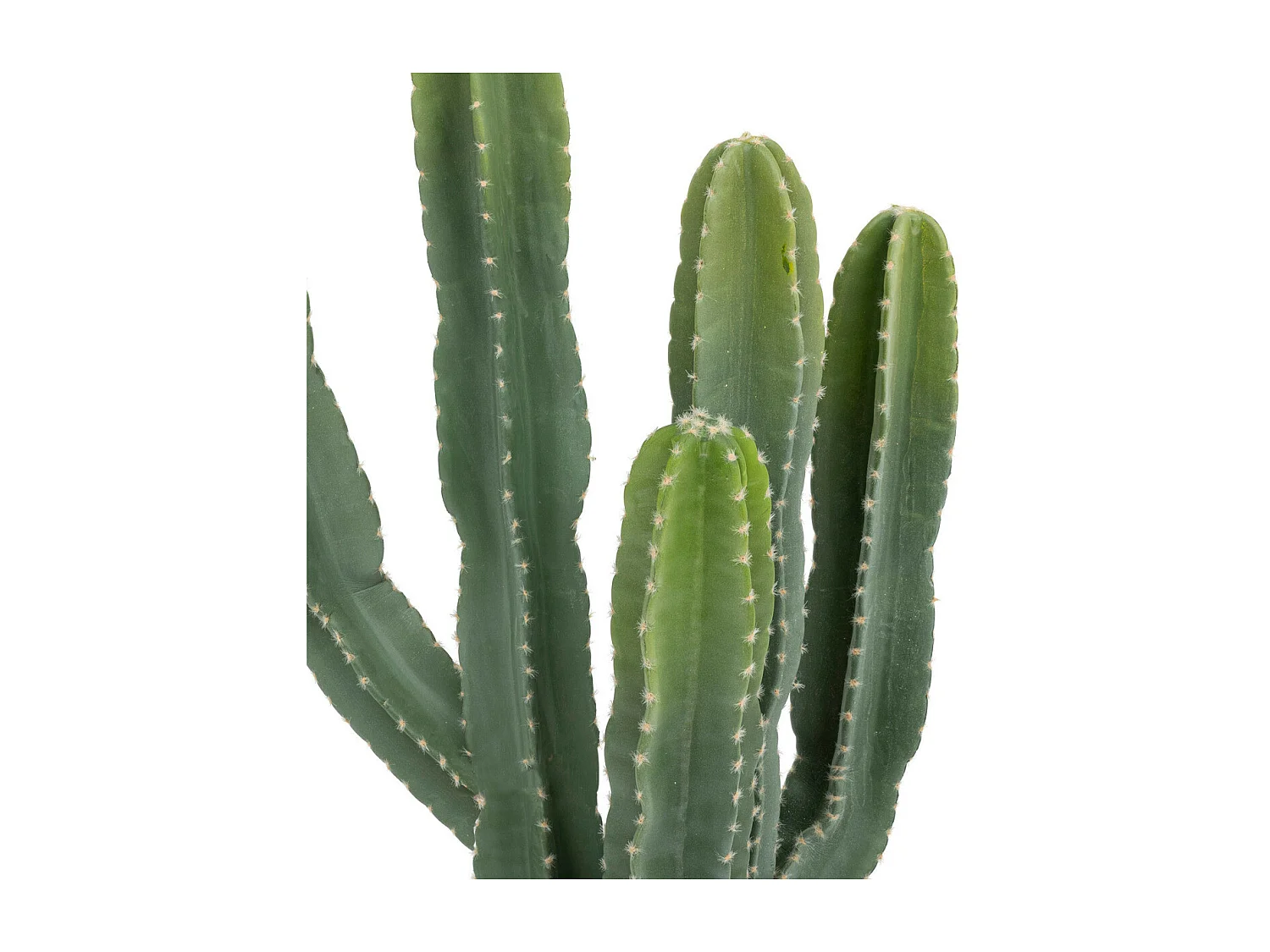 Plante artificielle Cactus Euphorbe en pot H 117 cm