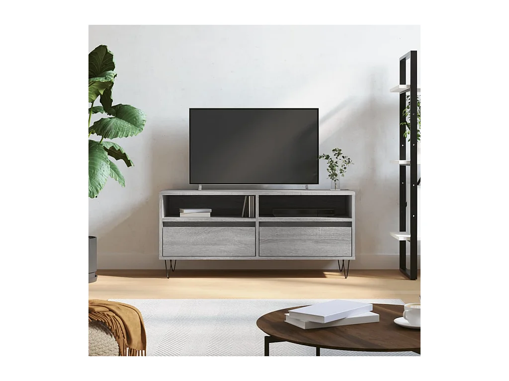 Tv-meubel 100x34,5x44,5 cm bewerkt hout grijs sonoma eikenkleur NL916544