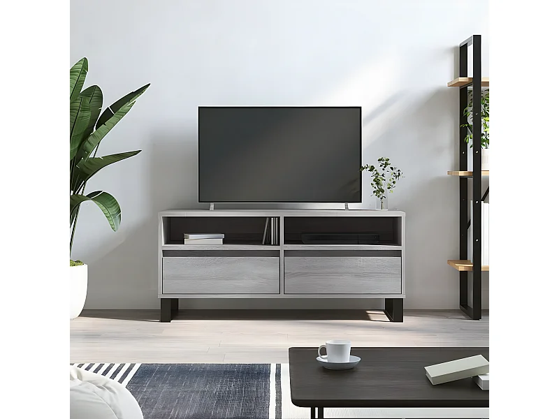 Mueble de TV madera contrachapada gris Sonoma 100x34,5x44,5 cm ES43864