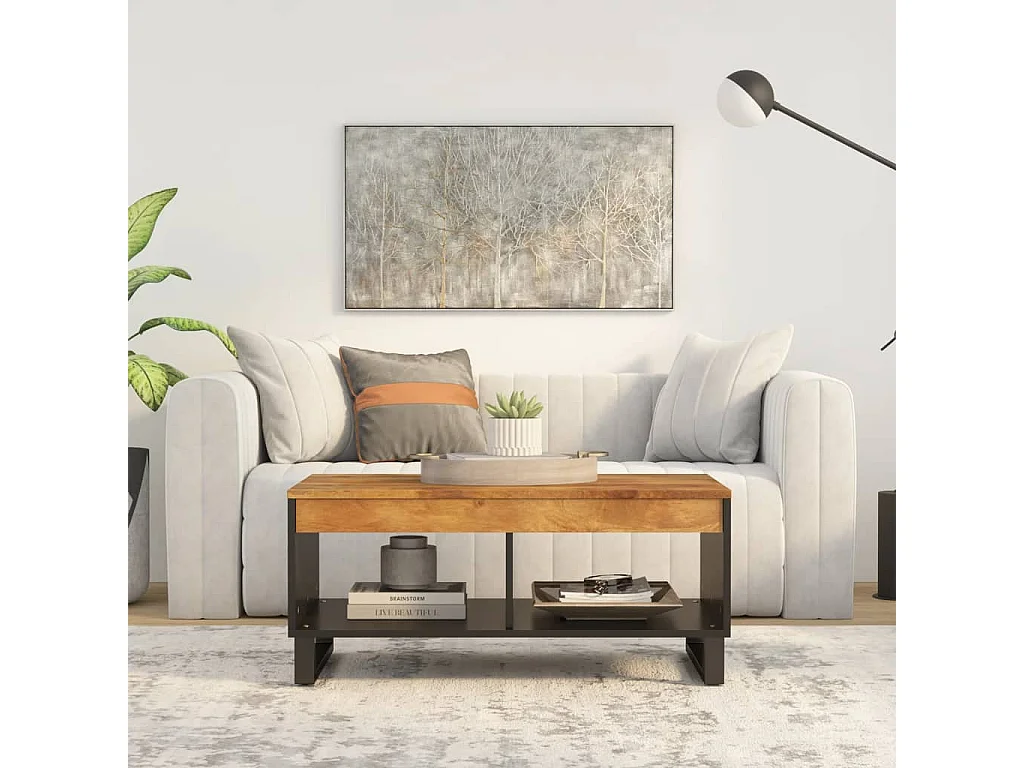 Salontafel 90x50x40 cm massief mangohout NL90055