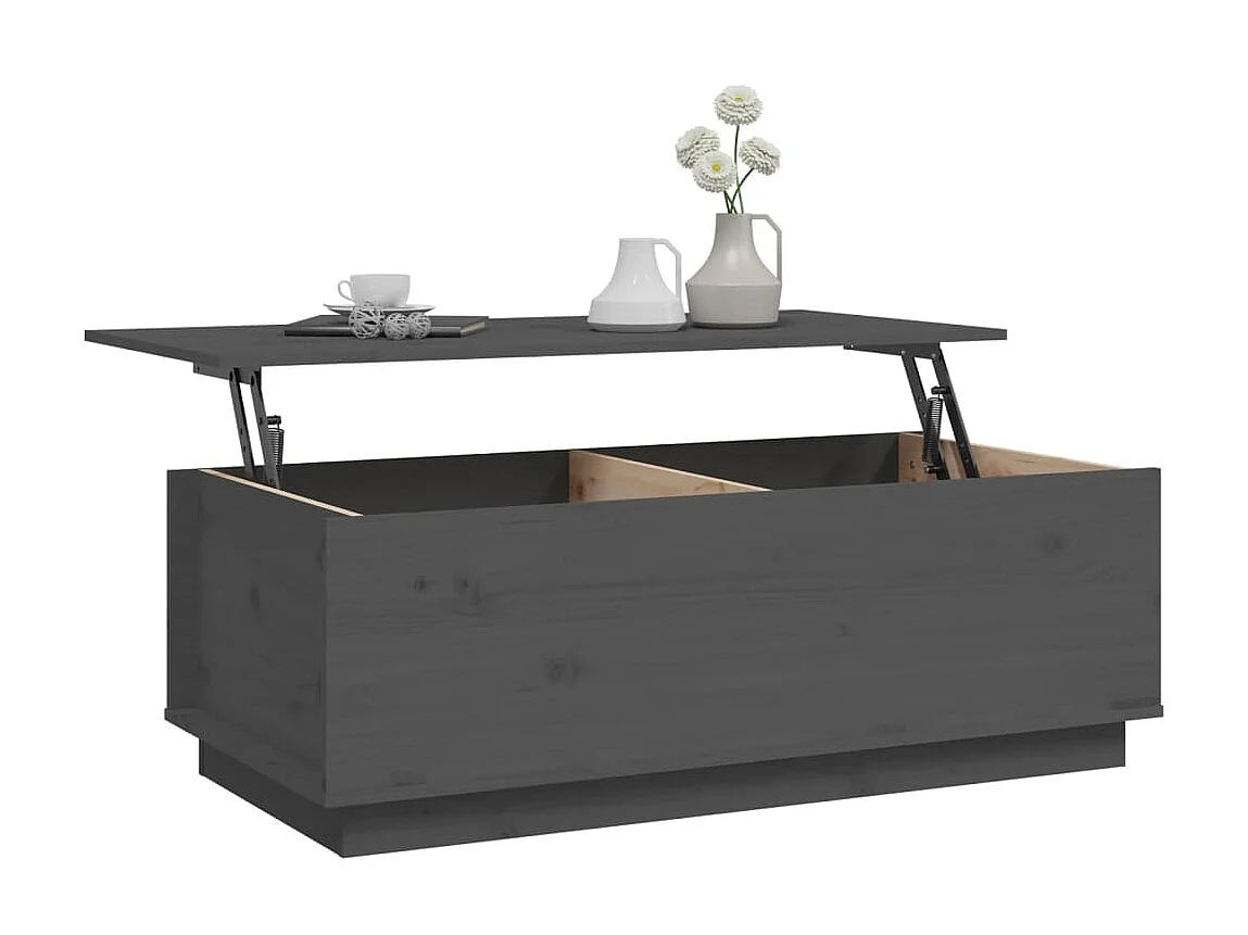 Mesa de centro de madera maciza de pino gris 100x50x35 cm ES354178