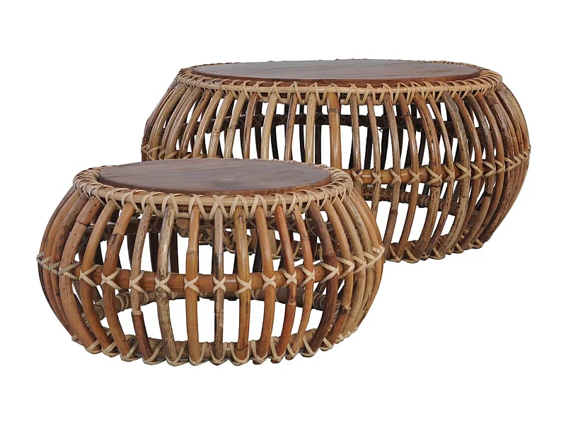 Tables basses 2 pcs Rotin naturel OFR70081 BonneVie Meuble