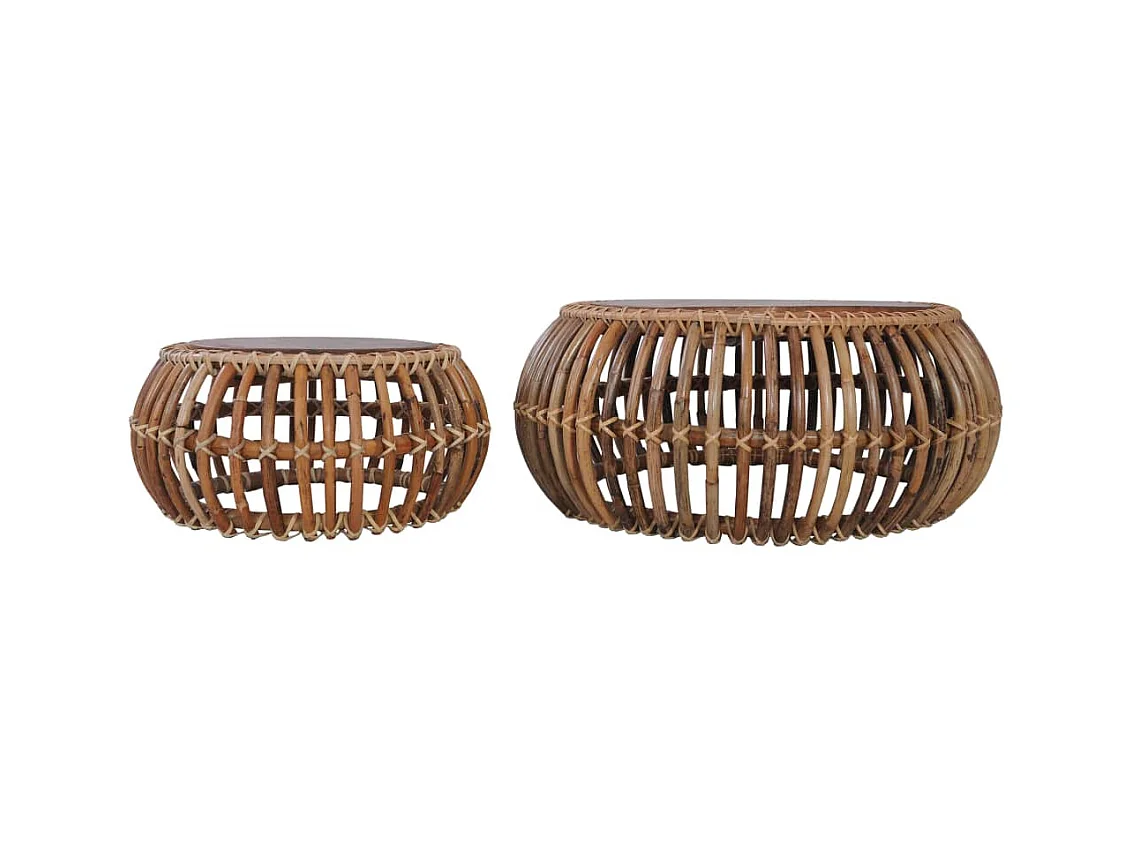 Tables basses 2 pcs Rotin naturel OFR70081 BonneVie Meuble