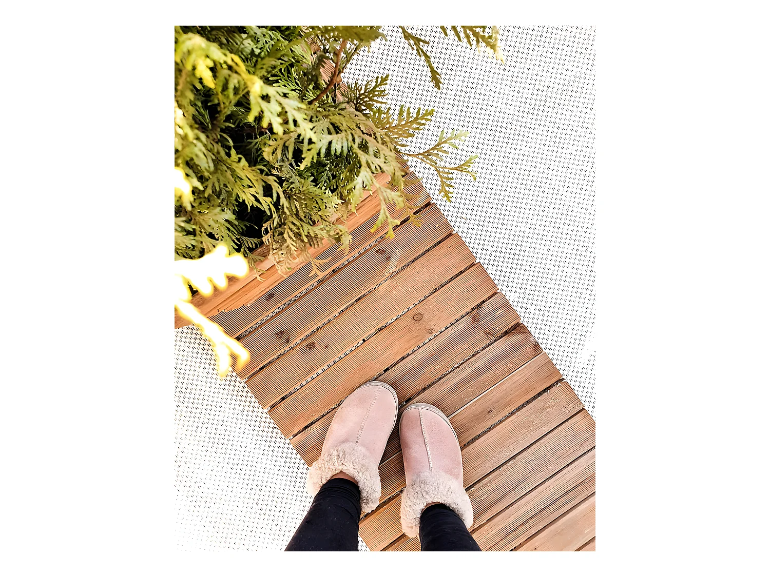 Tapis EN CORDE SIZAL FLAT 48663/060 crème LISSE 120x170 cm
