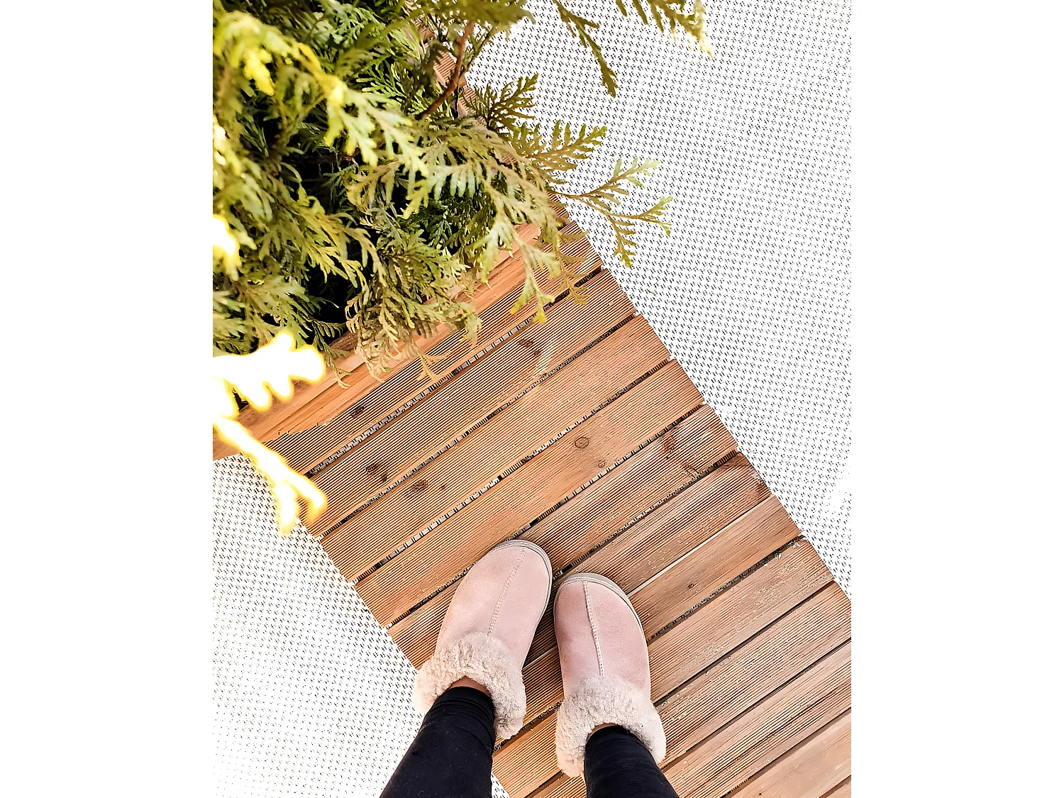 Tapete prumo SIZAL FLAT 48663/060 creme Cor sólida 200x290 cm