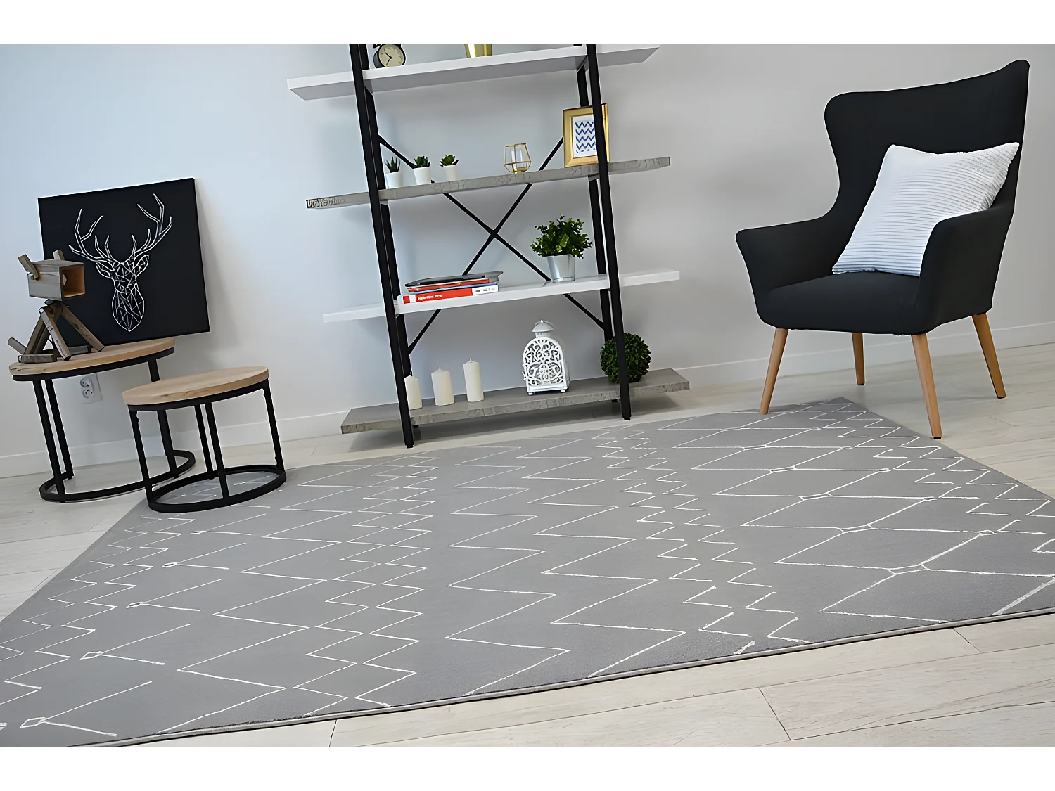 Tapis SENSE Micro 81249 ZIGZAG ETNO argentin/blanc 80x150 cm