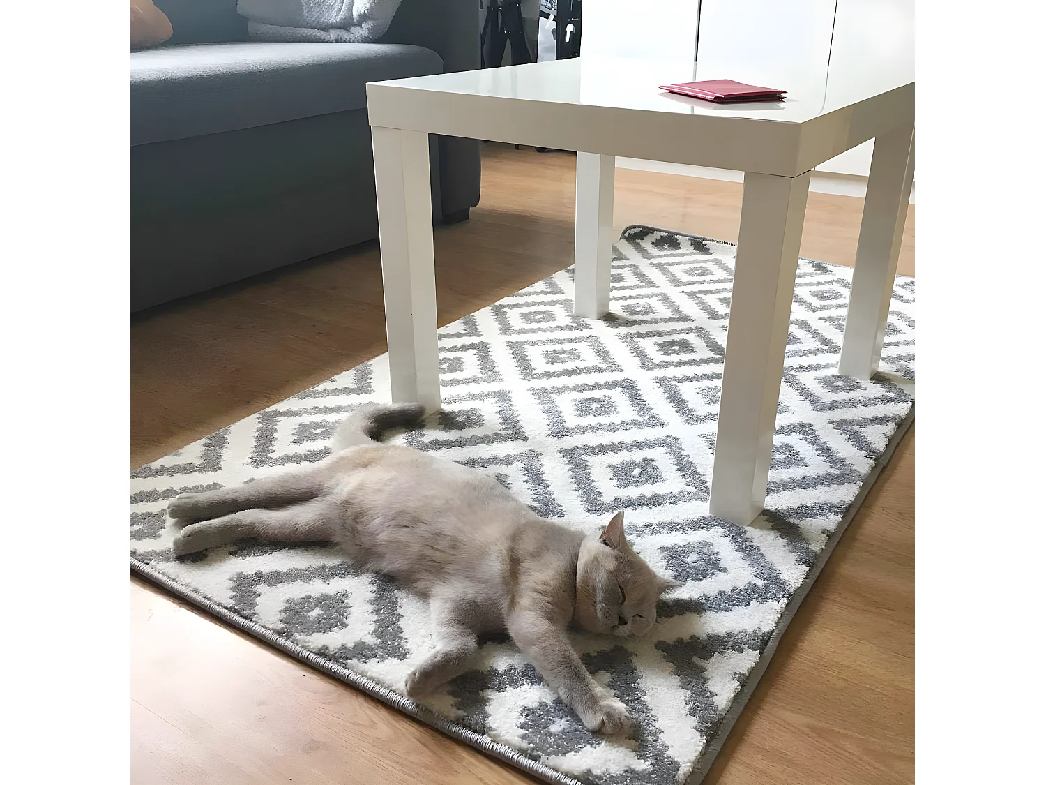 Tapis SKETCH - F998 crème et gris - Carreaux Ruta 80x150 cm