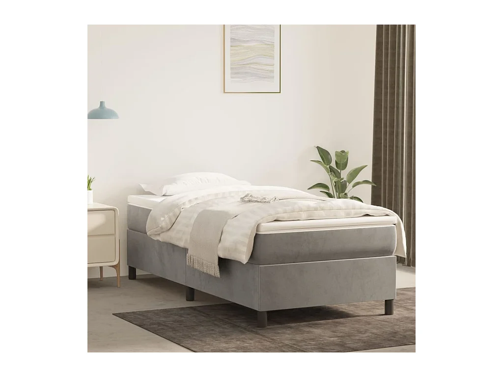 Ensemble complet boxspring - 90x190 cm + sommier tapissier + matelas Gris clair Velours SRGW15314