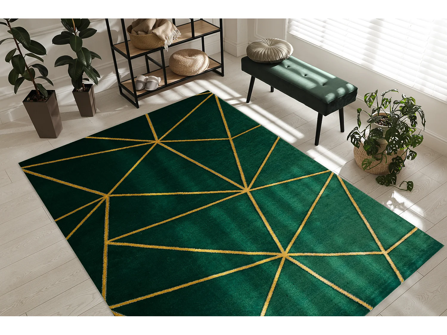 Tapis EMERALD exclusif 1013 glamour, élégant géométrique bouteille 120x170 cm