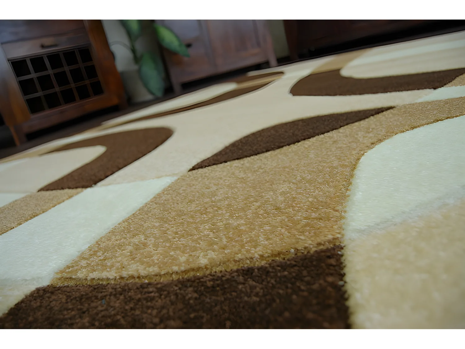 Tapis FOCUS - F242 ail 120x170 cm