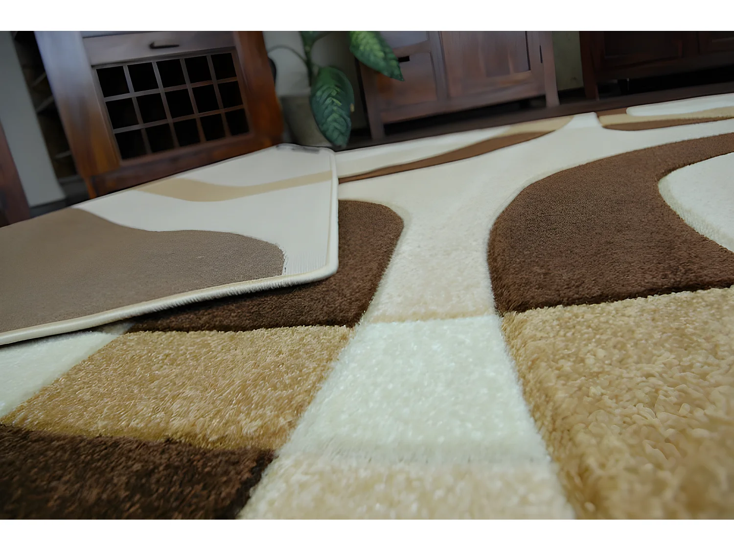 Tapis FOCUS - F242 ail 120x170 cm