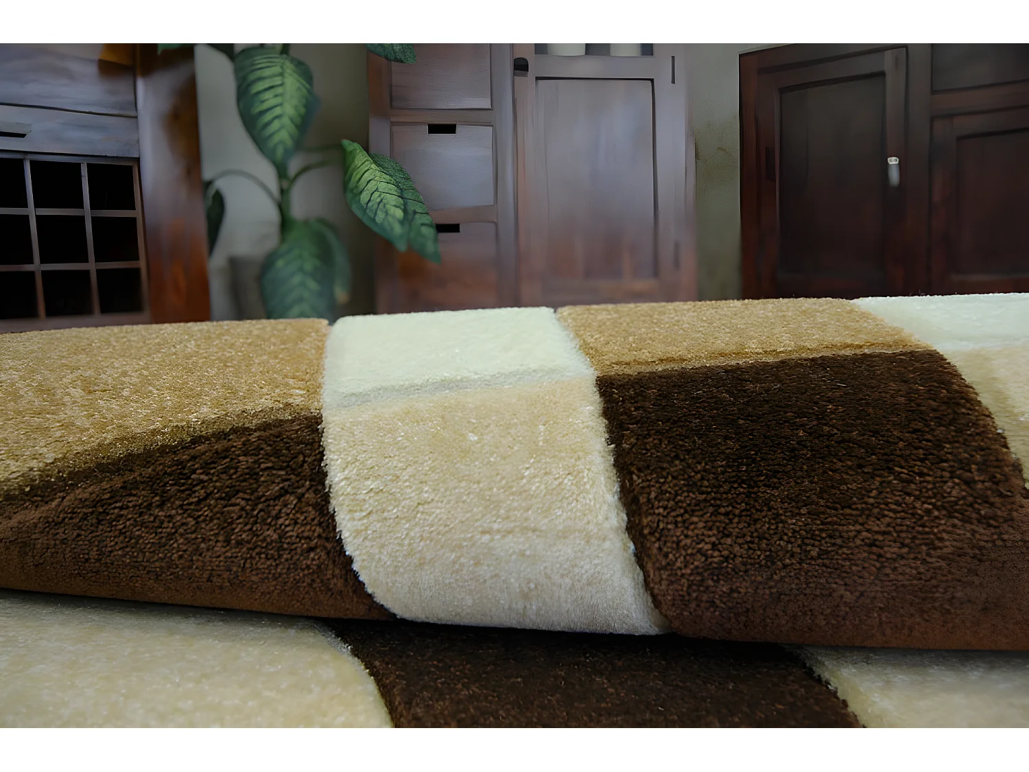 Tapis FOCUS - F242 ail 120x170 cm