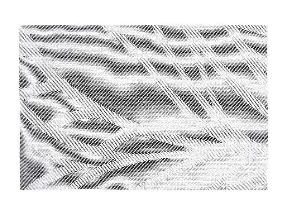 Tovaglietta in vinile con disegno di rami (set di 6)