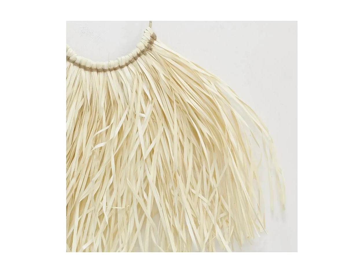 Décors muraux en palmier naturel et franges