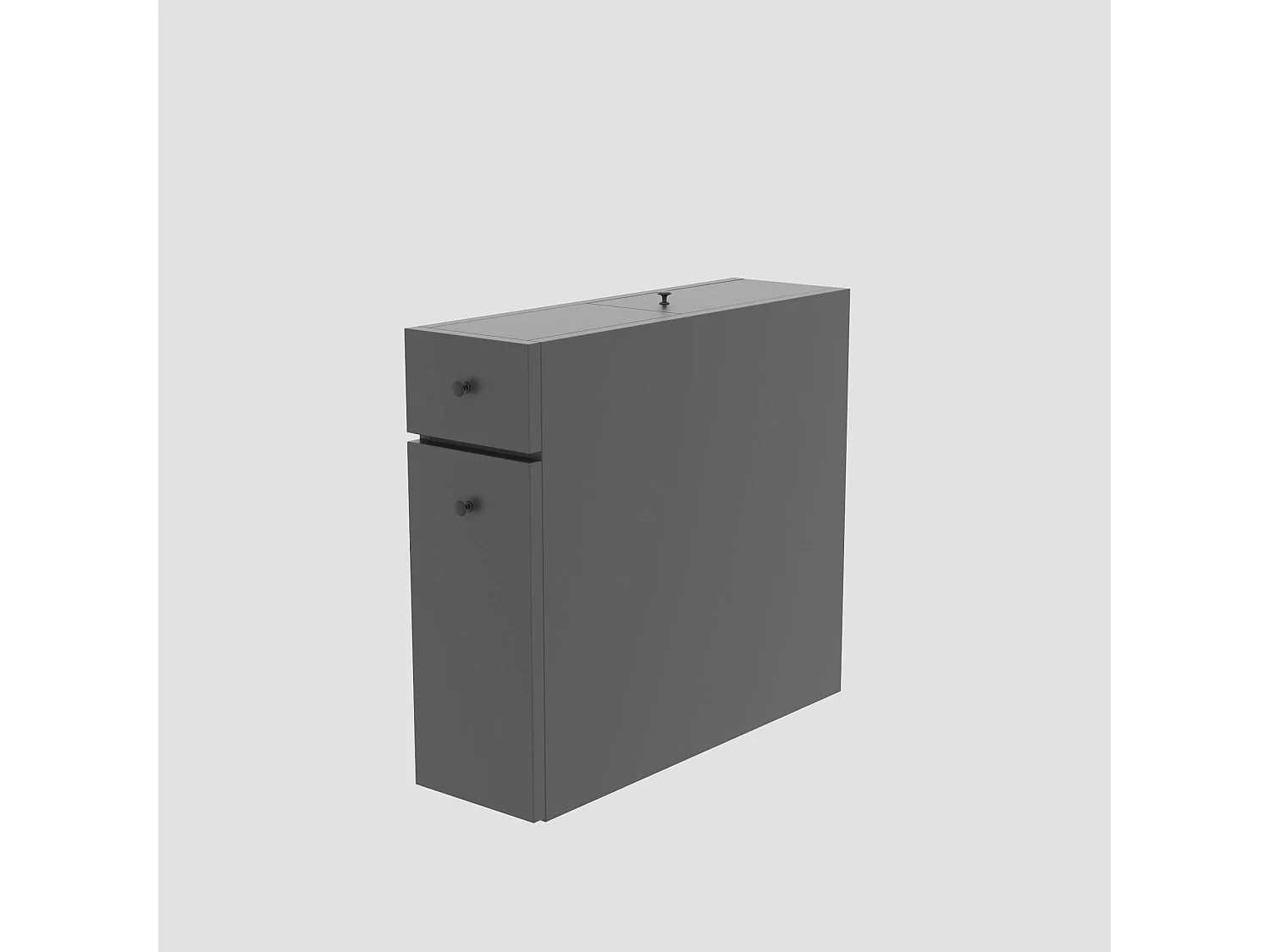 Rangement de salle de bain 1 porte et 2 tiroirs Denali Bois Anthracite