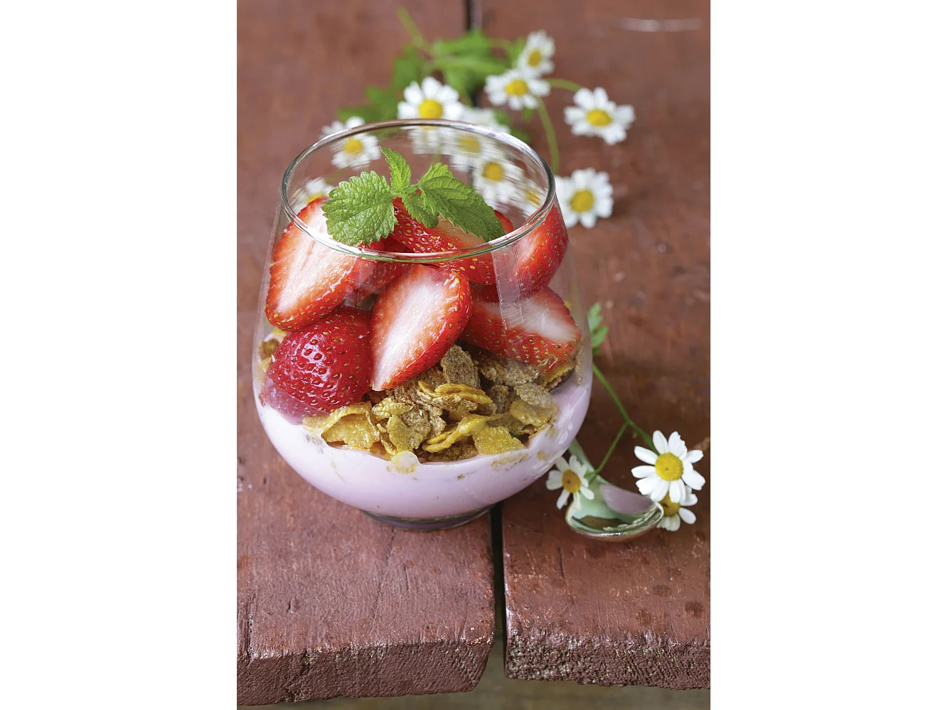 Novastyl - Lot De 6 Verrines 9,5 Cl En Verre Modele Regal