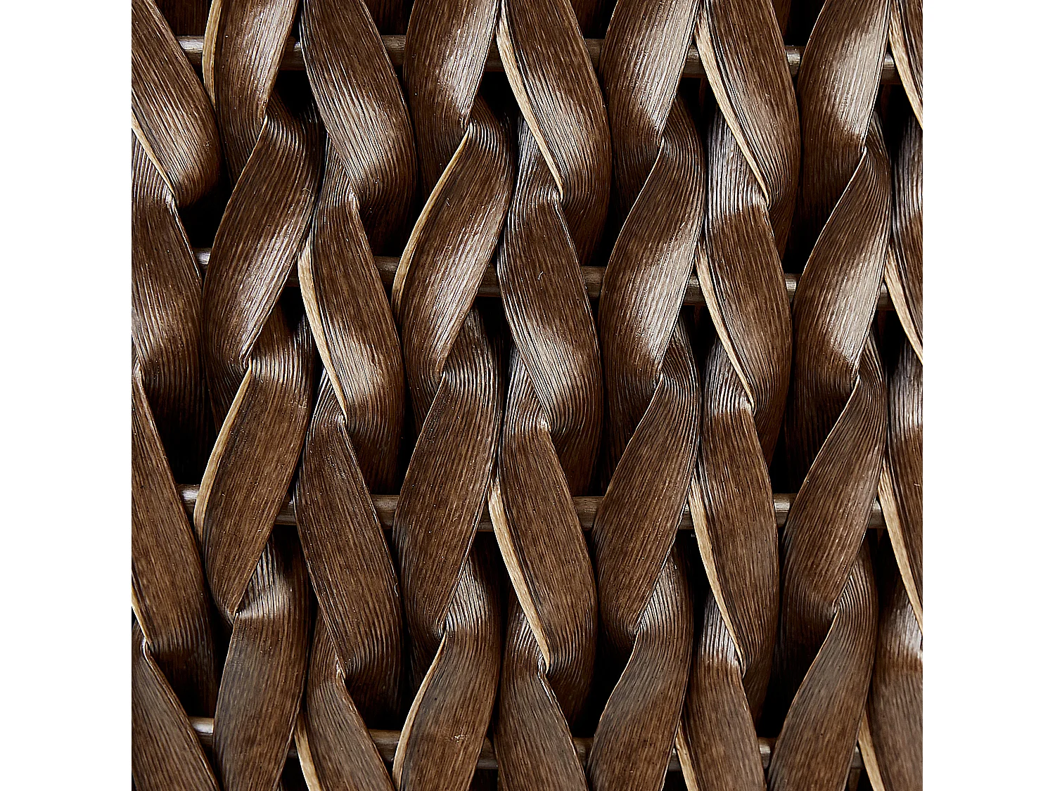 Lot de 3 pots de fleurs BERBERIS 34/45 cm Marron foncé