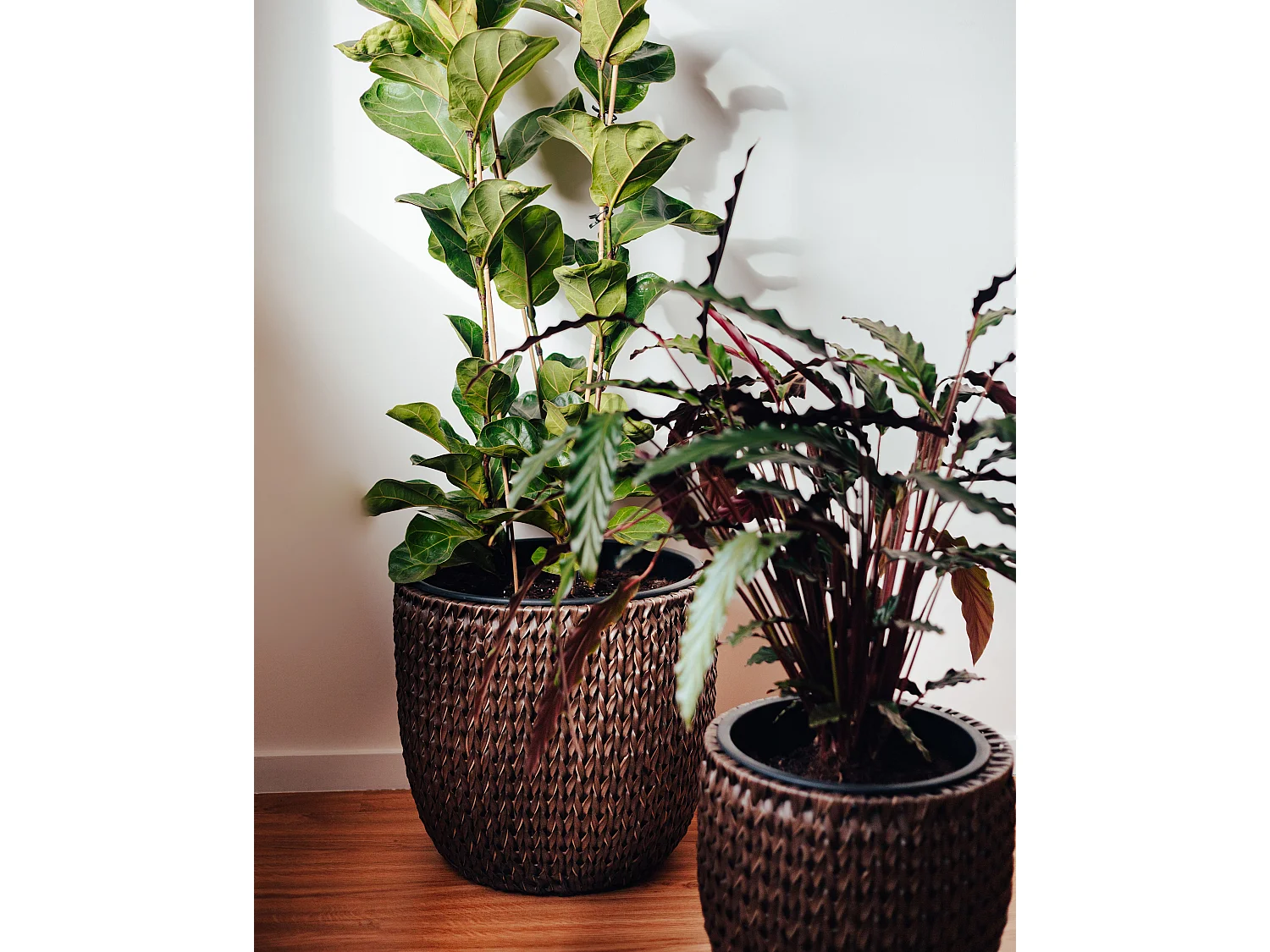 Lot de 3 pots de fleurs BERBERIS Polyrotin 34/45 cm Marron foncé