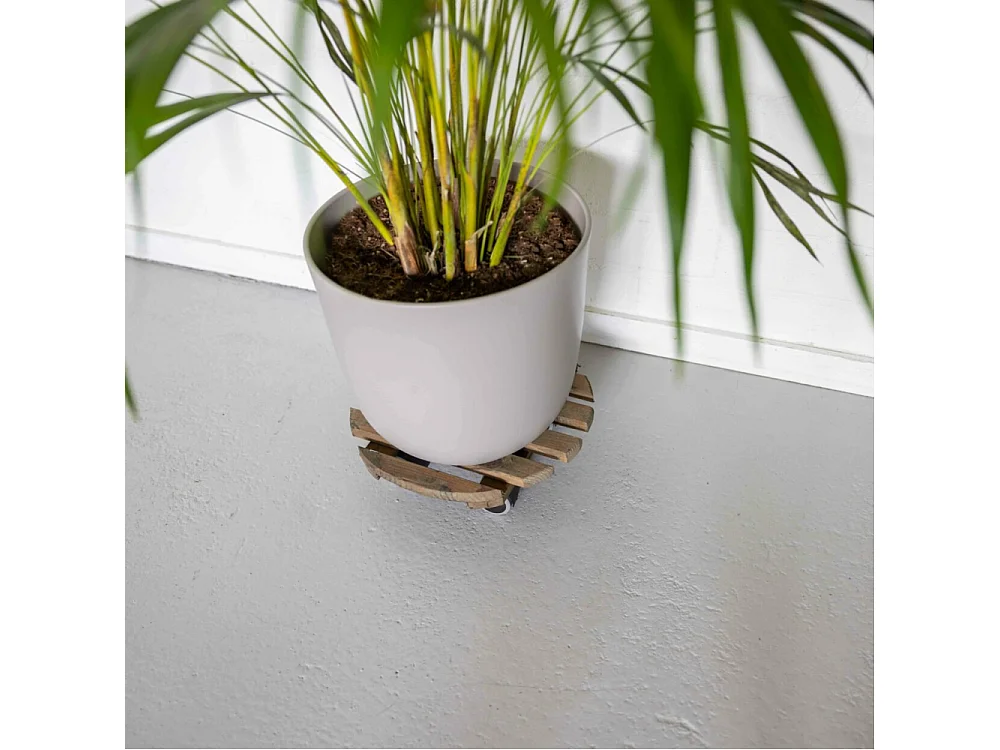 Support à roulettes en bois pour plantes d'intérieur (Lot de 3)