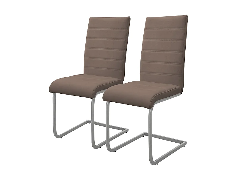 Lot de 2 chaises de salle à manger Chaise de cuisine Chaise chaise cantilever chaise rembourrée chaise oscillante