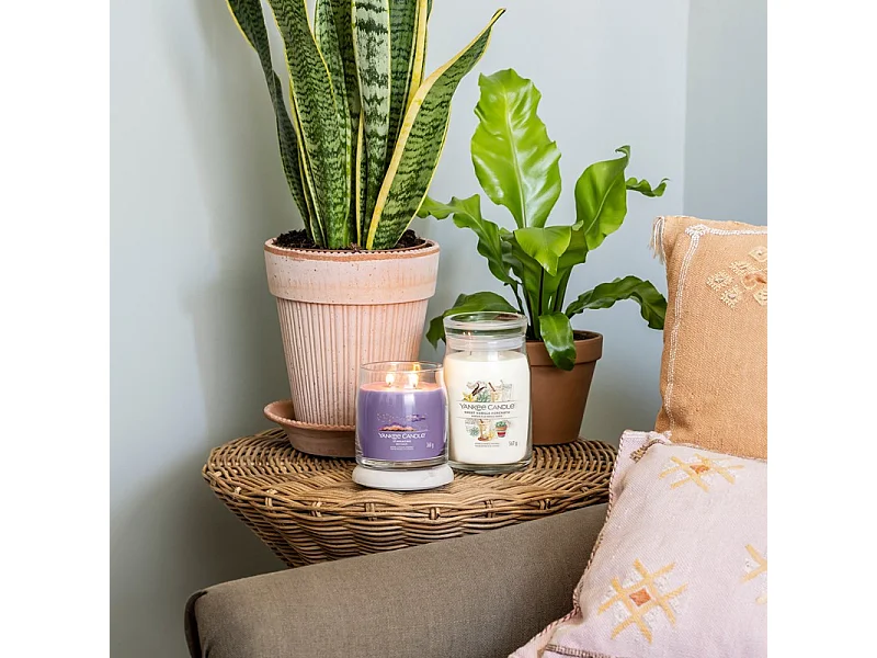 Kaars in grote pot, Sweet Vanilla Horchata, wit 567 gr, Signature