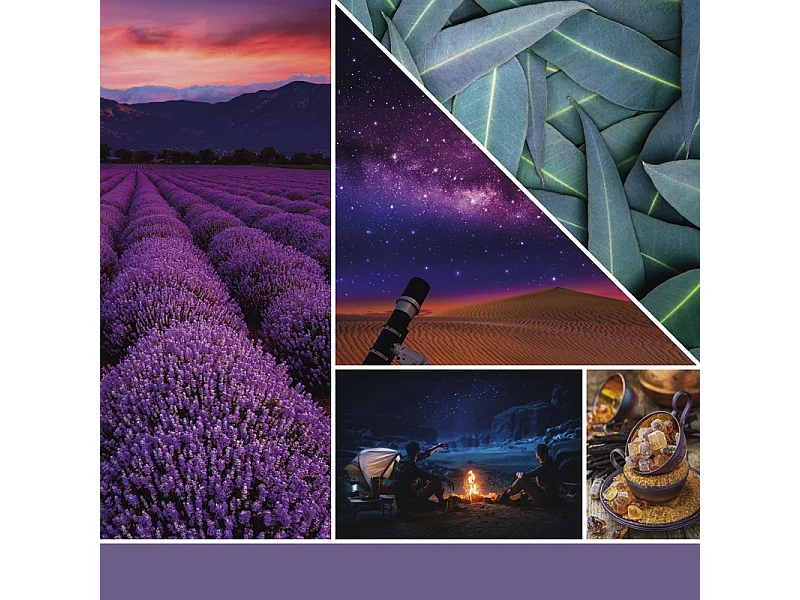 Duftkerze im mittelgroßen Glas, Stargazing, violett 368 gr, Signature