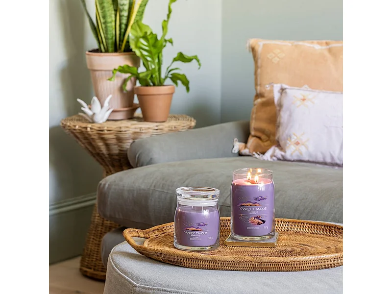 Bougie signature Nuit étoilée grand modèle