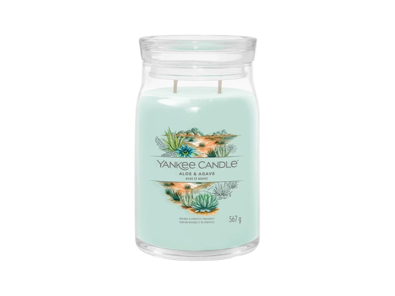 Bougie signature Aloe et Agave grand modèle
