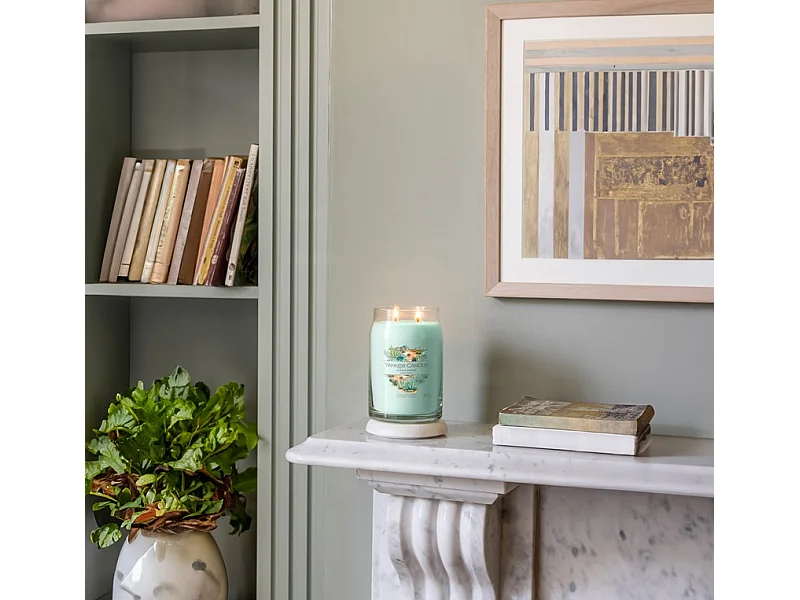 Bougie signature Aloe et Agave grand modèle