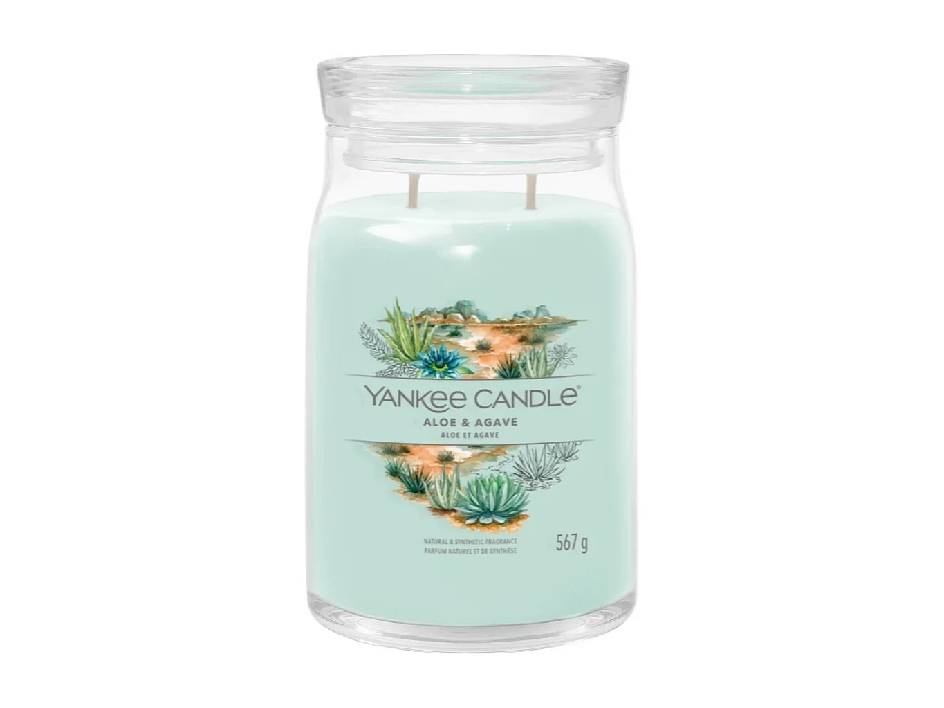 Bougie signature Aloe et Agave grand modèle