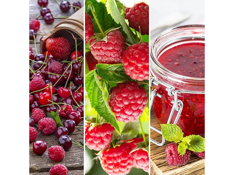 Geurkaars in grote pot, Red Raspberry, roze 567 gr, Signature