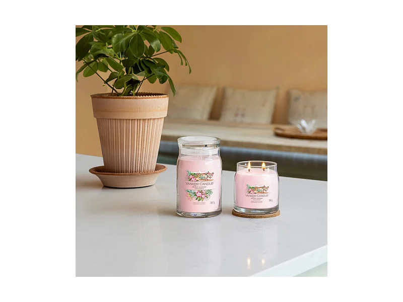 Duftkerze im mittelgroßen Glas, Desert Blooms, rosa 368 gr, Signature